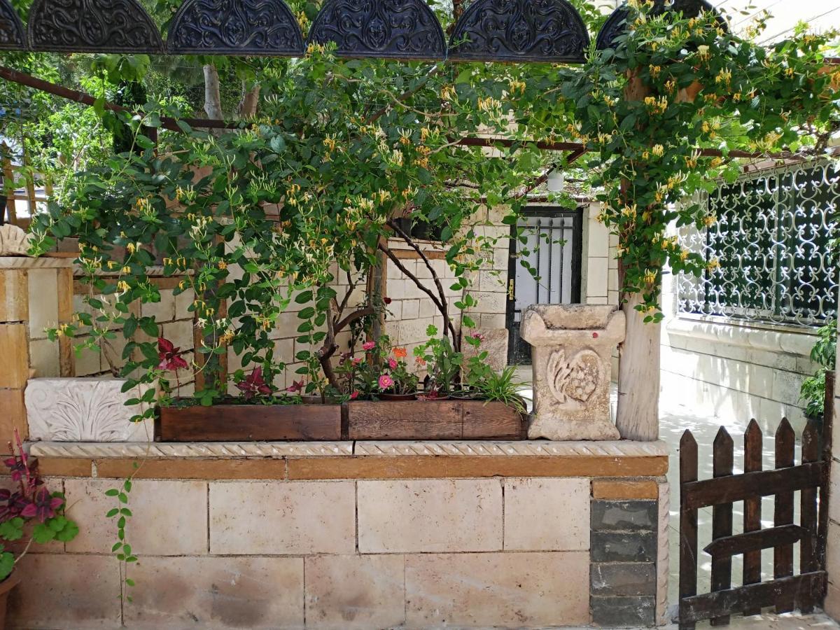 Flower Jarash Exteriör bild